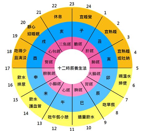 十二時辰養生對照表|十二時辰對照表